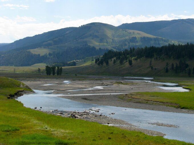 Primavera en las Montañas Rocosas: Conservación y Renovación