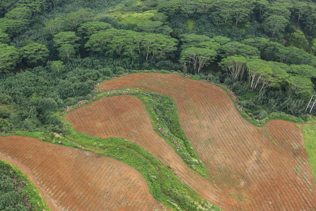 La tierra agrícola se está convirtiendo en un vehículo de inversión para los ricos