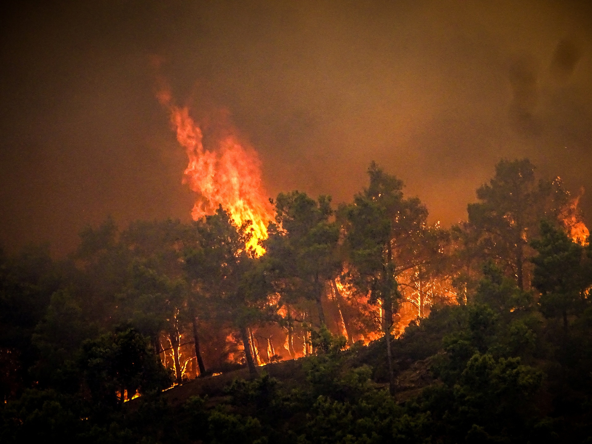 Grecia se enfrenta al mes de julio más caluroso en 50 años mientras la ola de calor arrasa Europa |  Noticias sobre la crisis climática