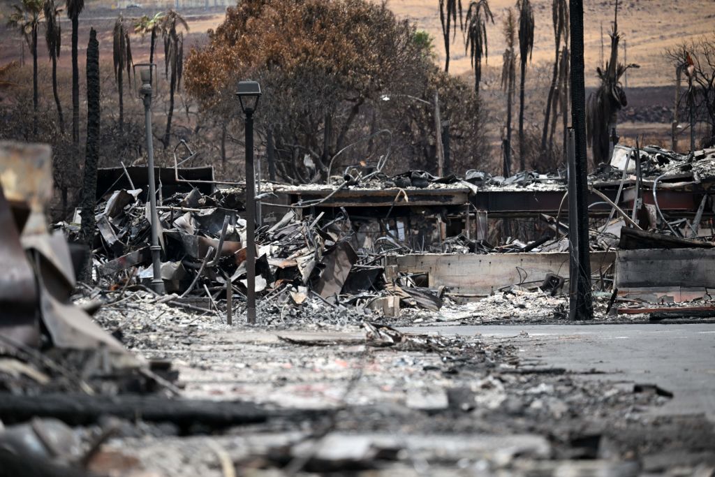 La codicia capitalista impulsó los catastróficos incendios forestales de Hawaii