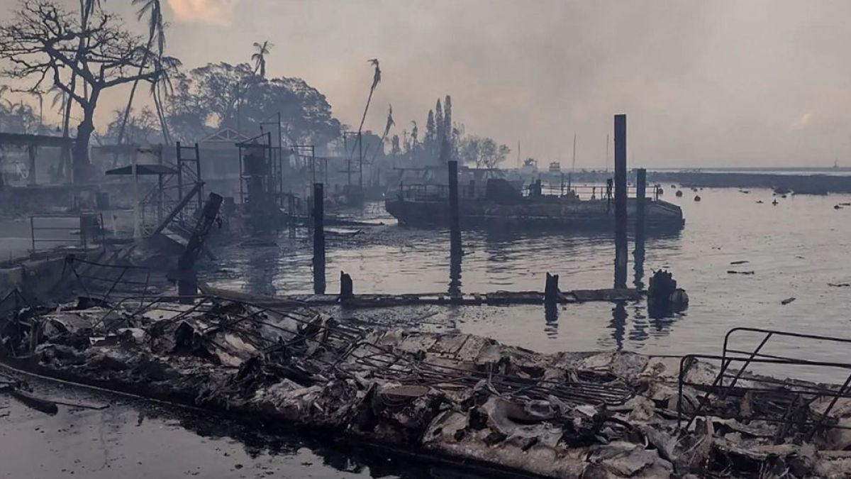 El número de muertos por incendios forestales en Hawái llega a 80 cuando se lanza una investigación para responder a las llamas |  Noticias del Clima