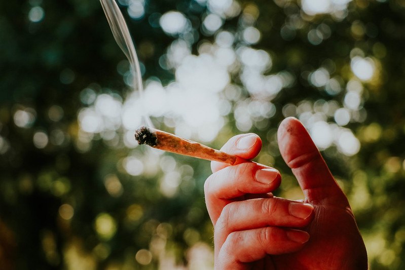 La ciencia es clara: la marihuana es más segura que el tabaco